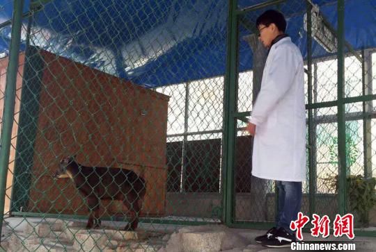 ����(w��n)ÿ���(hu��)���r(sh��)Ѳҕ��(d��ng)���^��,�J(r��n)���^���(d��ng)����О��B(t��i)������ɭ�� �z