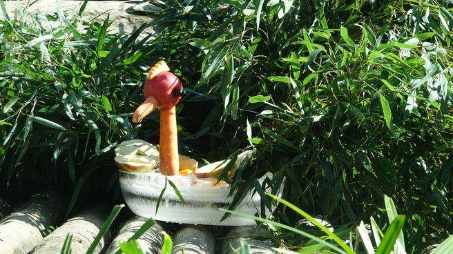 ���A�С������ز͵��ز����O�������}�������ѡ��C�C�^�����~��