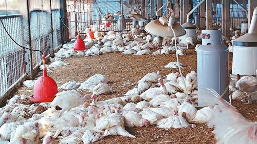 �_�������׻��u�������������и���ɓ䚢���_����(li��n)�ψ�ӛ���x�Mʢ���zӰ