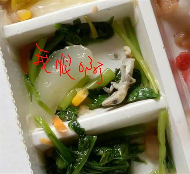 ���u�@�F��ֻ�ڻ� �W�ѣ�Ҫ���˱㮔��