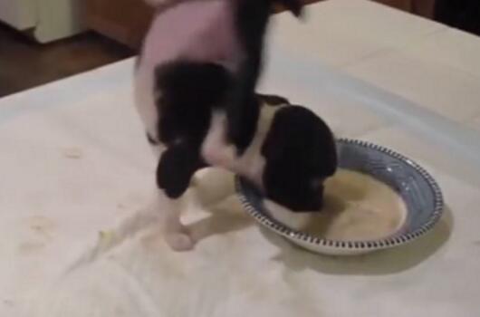 С�S�����ʩչ"�h����" �p�_�e�^�^180���D(zhu��n)��Ȧ