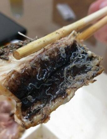 ��Ԫ�~�Ǻ���_���M�M�����x�� �W(w��ng)�ѣ���ʬĩ��