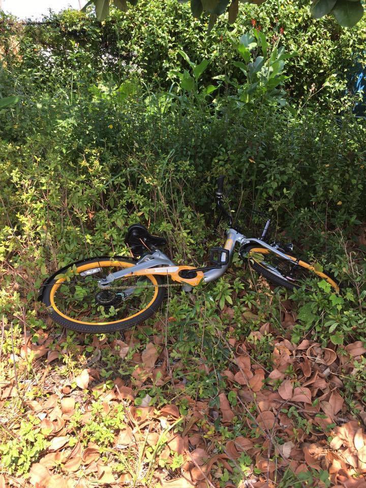 臺灣共享單車oBike遭惡搞 數十輛車被丟進溪里泡水 臺灣共享單車oBike遭惡搞 數十輛車被丟進溪里泡水