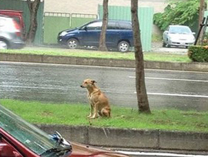 ����С�S�����z�� 2�������ԭ�ص�����