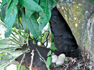 ĸ�u�w����������� �񱊇K�K�Q��