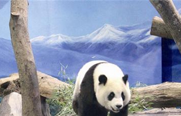 ���������һ�� �_������؈�����A�кܵ���