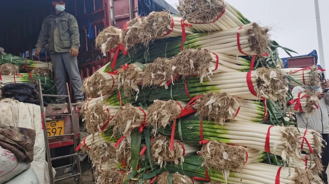 �����f�R�r���У��°l(f��)���������������׶����˻@�ӡ�����(y��ng)����