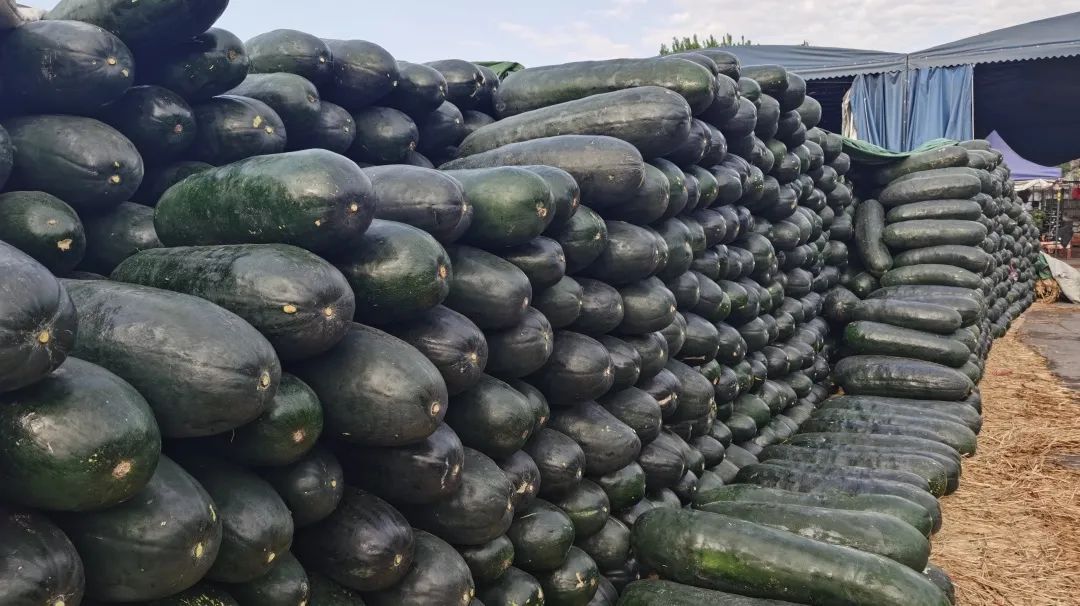 �����f�R�r���У��°l(f��)���������������׶����˻@�ӡ�����(y��ng)����