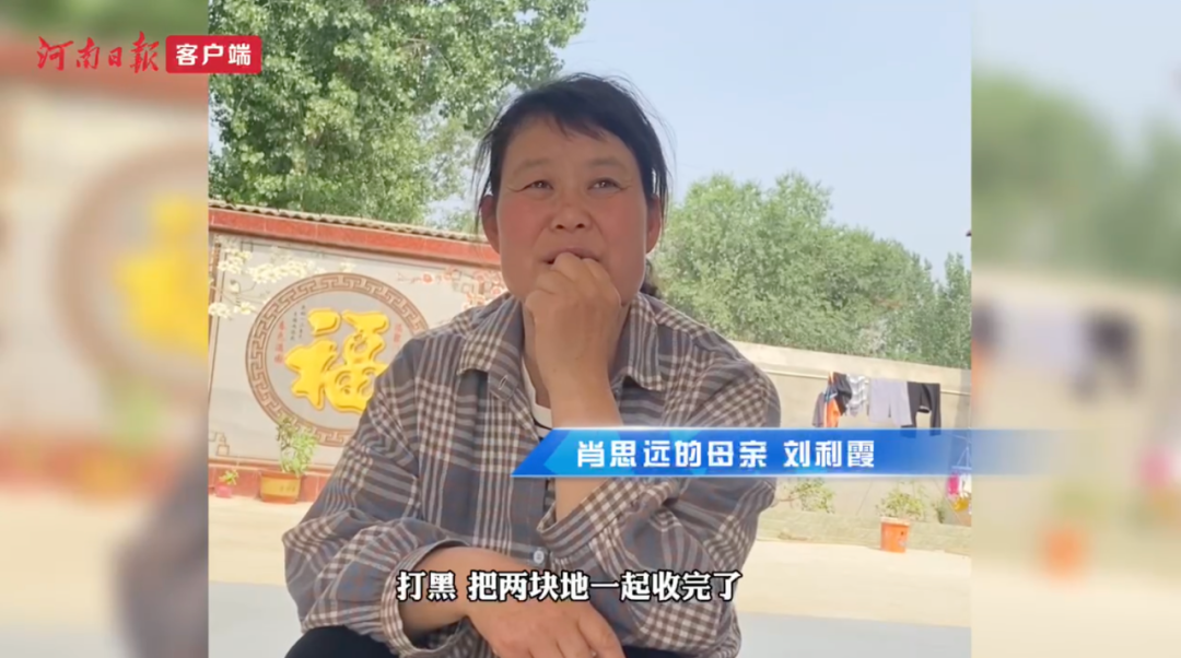 肖思遠(yuǎn)父母為啥偷偷收麥子?真相是……