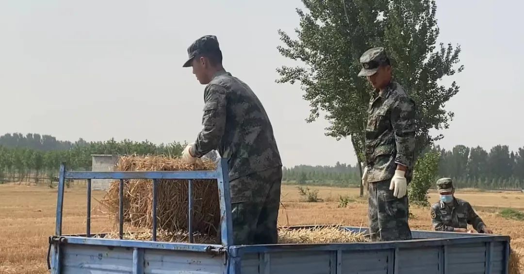 肖思遠(yuǎn)父母為啥偷偷收麥子?真相是……