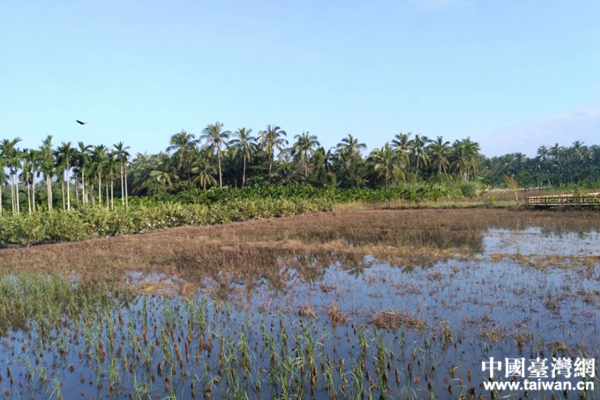 ���������(zh��n)