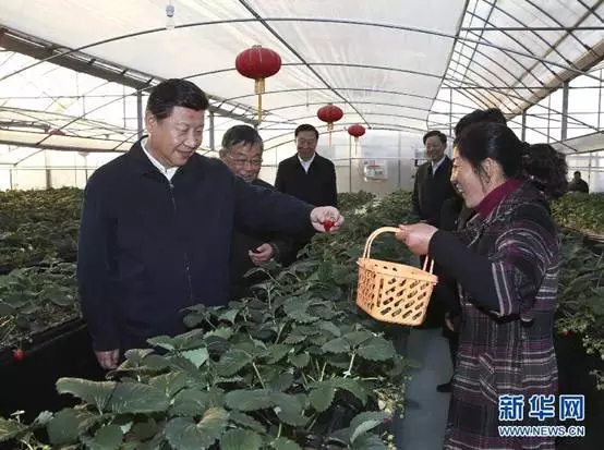 ��ƽ�Z�����ˡ�������ƽ�ġ����r�^��