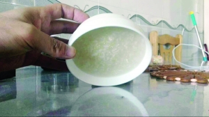 寒潮來襲:手機自動關機 企鵝出來曬太陽(圖) 寒潮來襲:手機自動關機 企鵝出來曬太陽(圖)