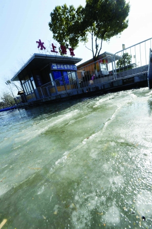 寒潮來襲:手機自動關機 企鵝出來曬太陽(圖) 寒潮來襲:手機自動關機 企鵝出來曬太陽(圖)