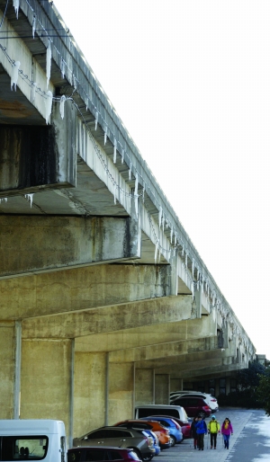 寒潮來襲:手機自動關機 企鵝出來曬太陽(圖) 寒潮來襲:手機自動關機 企鵝出來曬太陽(圖)