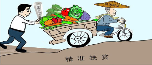 �Ă�(g��)������(zh��n)�����䌍(sh��)��(x��)��ƽ��ؚ˼�����Ҫ����