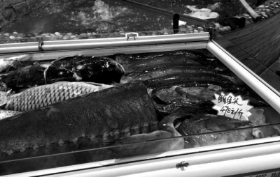      2��16�գ��~�չʾ����������һ��(g��)�Sɫ�����r(ji��)�����ڹP�֌����m�~�^498Ԫ/���