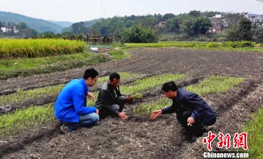 ���벿ί�نT�����l�����h֧����һ��ӛ���M�Ϸ�ؚ��