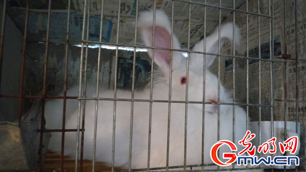 ���W�jý�w���D�ġ��Zˮ�h���ʷ�ؚ˦�����Fñ�ӡ�