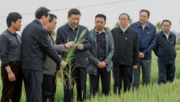 ����ƽ����С���壬�؜��Ї��ĸ�v��