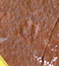 ��С�Ŀ������E��