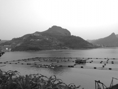 �V�����h��(sh��)ǧ�f(w��n)��(k��)�^(q��)�����������Ƿ�Ų��