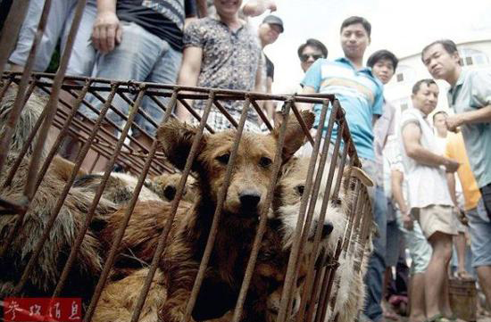 ��ý�۽��Ї��l�g���¶���������Ѫ�Ȳ���ֱҕ