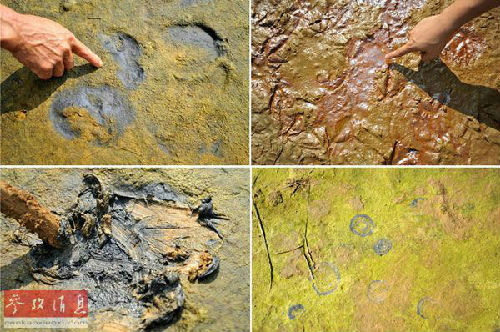 外媒:中國土壤污染嚴重 河北部分村莊怪病頻發 外媒:中國土壤污染嚴重 河北部分村莊怪病頻發