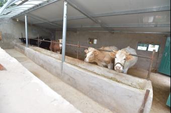 ��(x��)����(sh��)ӛ��ԭ�С����ߺ��µ��L(zh��ng)��·