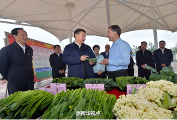 ��(x��)����(sh��)ӛ��ԭ�С����ߺ��µ��L(zh��ng)��·