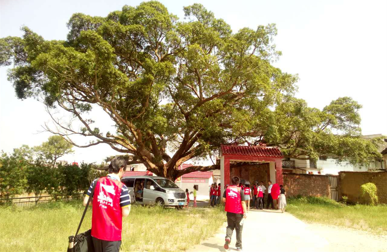 【網(wǎng)絡(luò)媒體走轉(zhuǎn)改】老榕樹守護(hù)下的世外桃源——烏逕鎮(zhèn)田心村 【網(wǎng)絡(luò)媒體走轉(zhuǎn)改】老榕樹守護(hù)下的世外桃源——烏逕鎮(zhèn)田心村