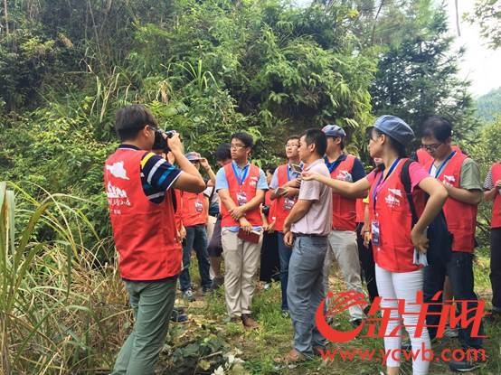 據介紹,目前整個恩村80%的村戶都種上了皇帝柑,全村已有接近2000畝皇帝柑。