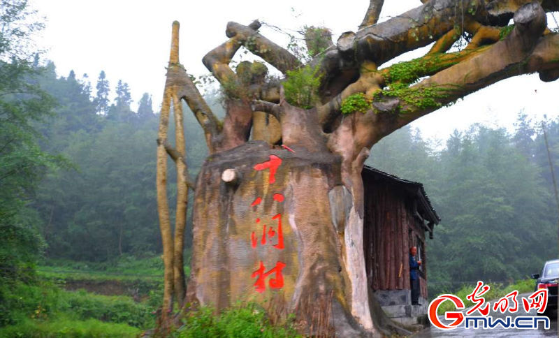 ���W�jý�w���D�ġ����ʷ�ؚЧ����Óؚ���¡����M�I��