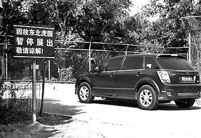 八達(dá)嶺野生動(dòng)物園猛獸區(qū)重開自駕游 路旁設(shè)電網(wǎng) 八達(dá)嶺野生動(dòng)物園猛獸區(qū)重開自駕游 路旁設(shè)電網(wǎng)