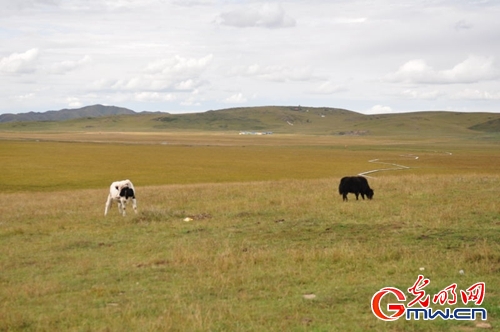 ���W(w��ng)�j(lu��)ý�w���D(zhu��n)�ġ������L���D�U�� �_���صء��Ҹ�����