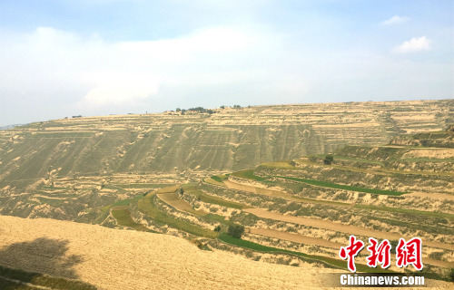 ��·���Ե�������¾W �N�� �z