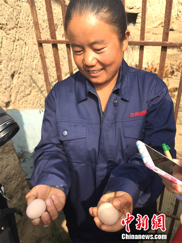 �߿�ϼչʾ�u�������¾W �N�� �z