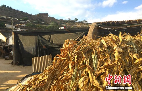 ����Ƽ�ҵ�Ժ��һ�ǡ����¾W �N�� �z