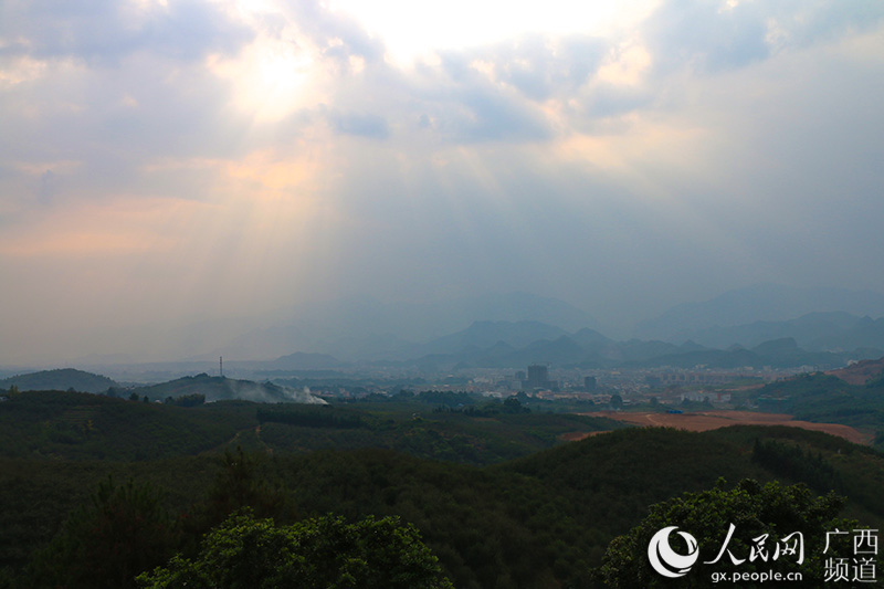 ���ʴ��r(n��ng)�I(y��)ʾ���^(q��)�B�ꖿh��