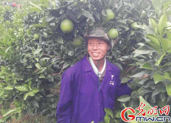 ���W(w��ng)�j(lu��)ý�w���D(zhu��n)�ġ��ؑc���(y��ng)���tɫ�����ϵľGɫ�l(f��)չ