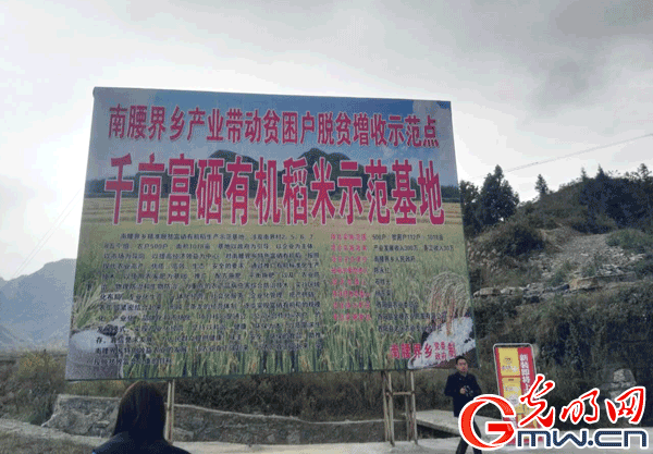 ���W(w��ng)�j(lu��)ý�w���D(zhu��n)�ġ��ؑc���(y��ng)���tɫ�����ϵľGɫ�l(f��)չ