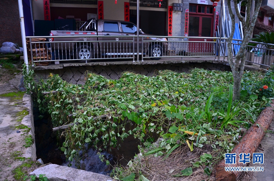 村支書臺風(fēng)天落水犧牲 曾暖了400多個村民的心 村支書臺風(fēng)天落水犧牲 曾暖了400多個村民的心