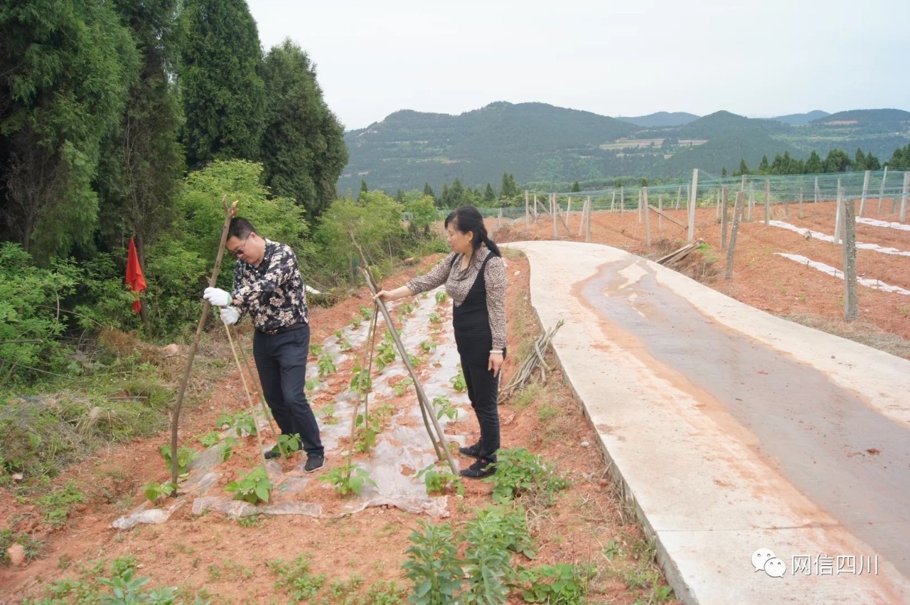 ��ȫ��������ͥ���������ͥ:��ϵ���؃�ͯ ���赸���f���ſ옷