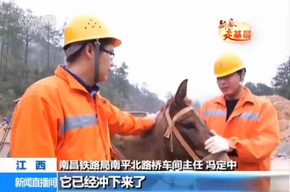 ǰ�����ע�Ⱑ��������@����������@������Ҫײ������