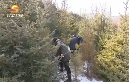 ���ź����λ�������ڄ���