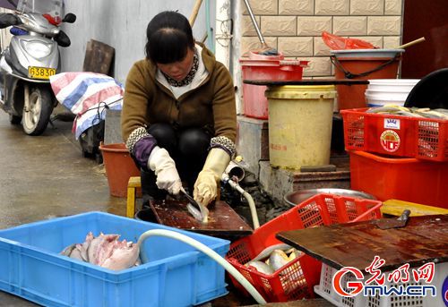 ���W(w��ng)�j(lu��)ý�w���D(zhu��n)�ġ��ϝO���v�¹���:�ġ�����Ư�������ϰ�����