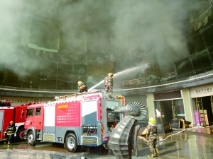 ��ĬF���⟟�L�L�������ˆT�ڬF��չ�_��Ԯ��