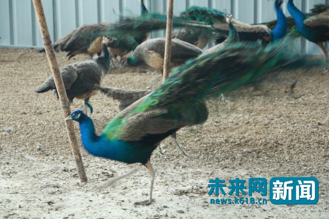 Óؚ���Կ��V��:���{��ȸ��㕁������Óؚ�¸���ϣ��