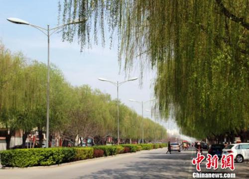 �D�鰲�¿h������ֽ־����ڿ��� �z