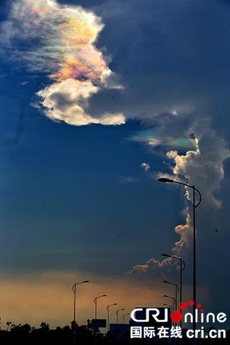 19�հ����������Ĳ��l����Ͽ�ͻ�@���ƣ����������v���Ĕz���Ĳ��������� �zӰ ��x